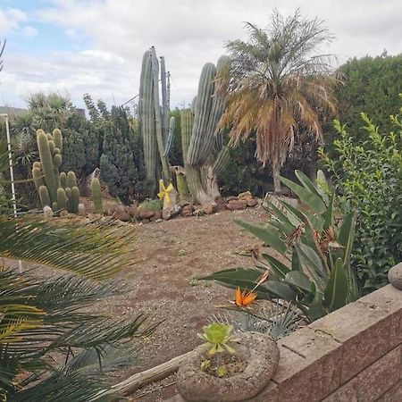 Los Cactus Santa Cruz de Tenerife Exterior foto