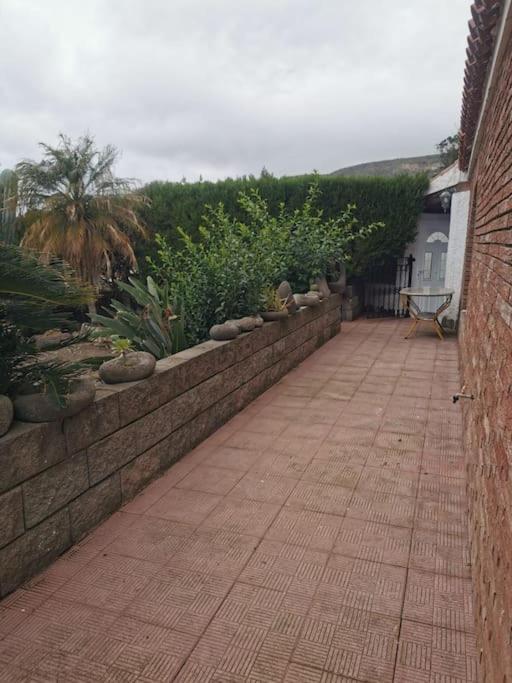 Los Cactus Santa Cruz de Tenerife Exterior foto